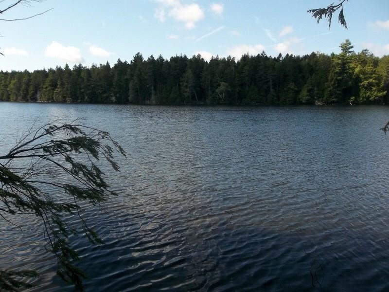 Land for Sale in Alexander ME