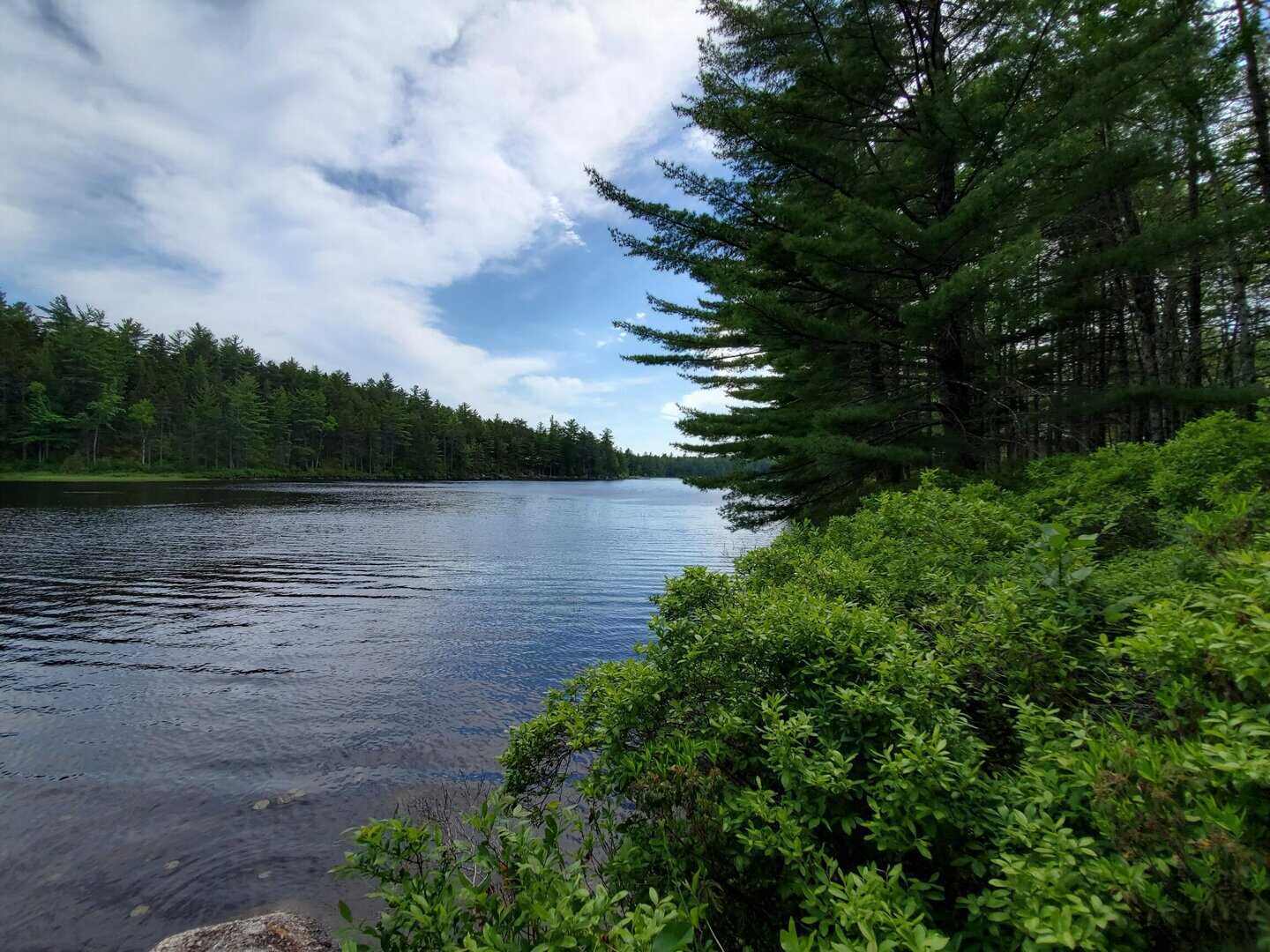 Land for Sale in Beddington ME