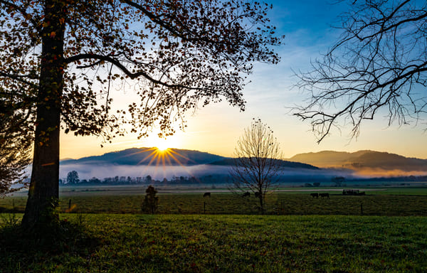 Henderson County NC