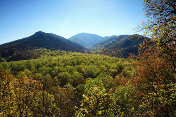 Haywood County NC