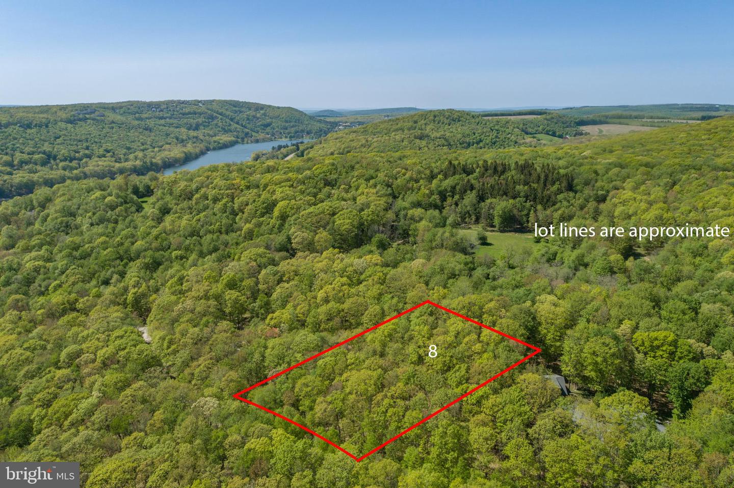 Listings for Lucas Muenchow