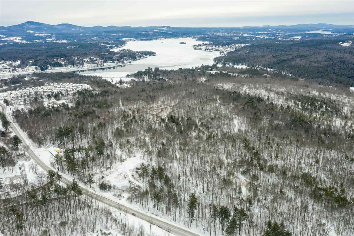 Laconia