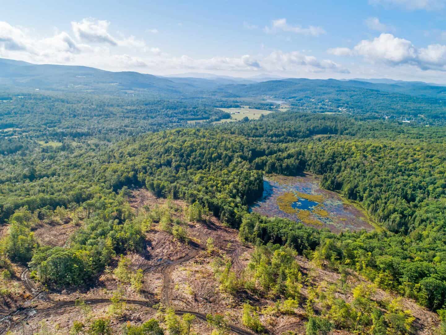 Recent Listings