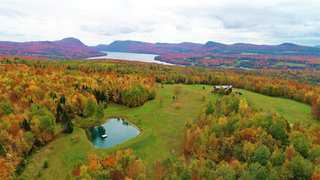 Search Orleans County