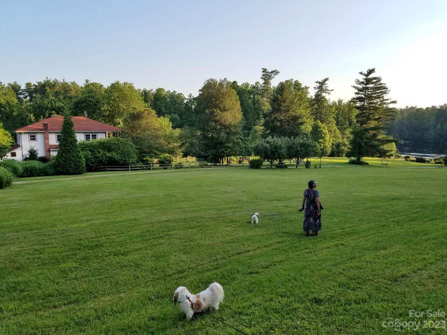 Lakefront Properties in the Asheville Area