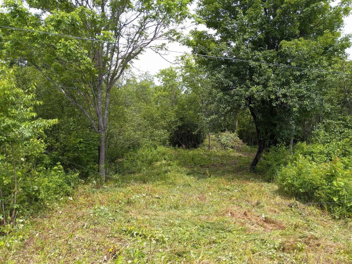 Land for Sale in Dorchester NH