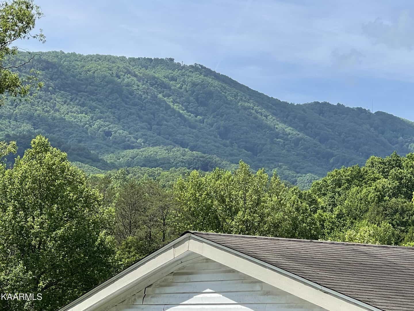 Land for Sale in Seymour TN