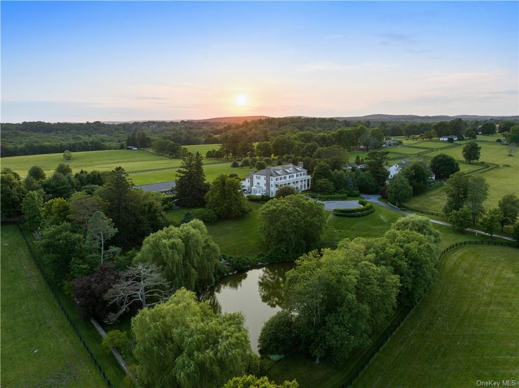 Houses for Sale