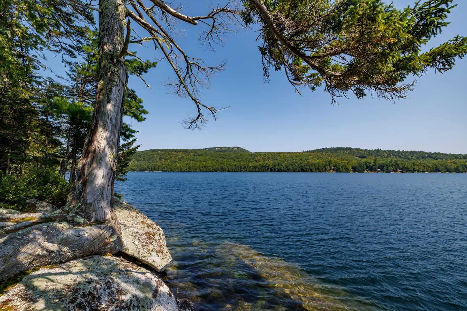 Land for Sale in Orland ME