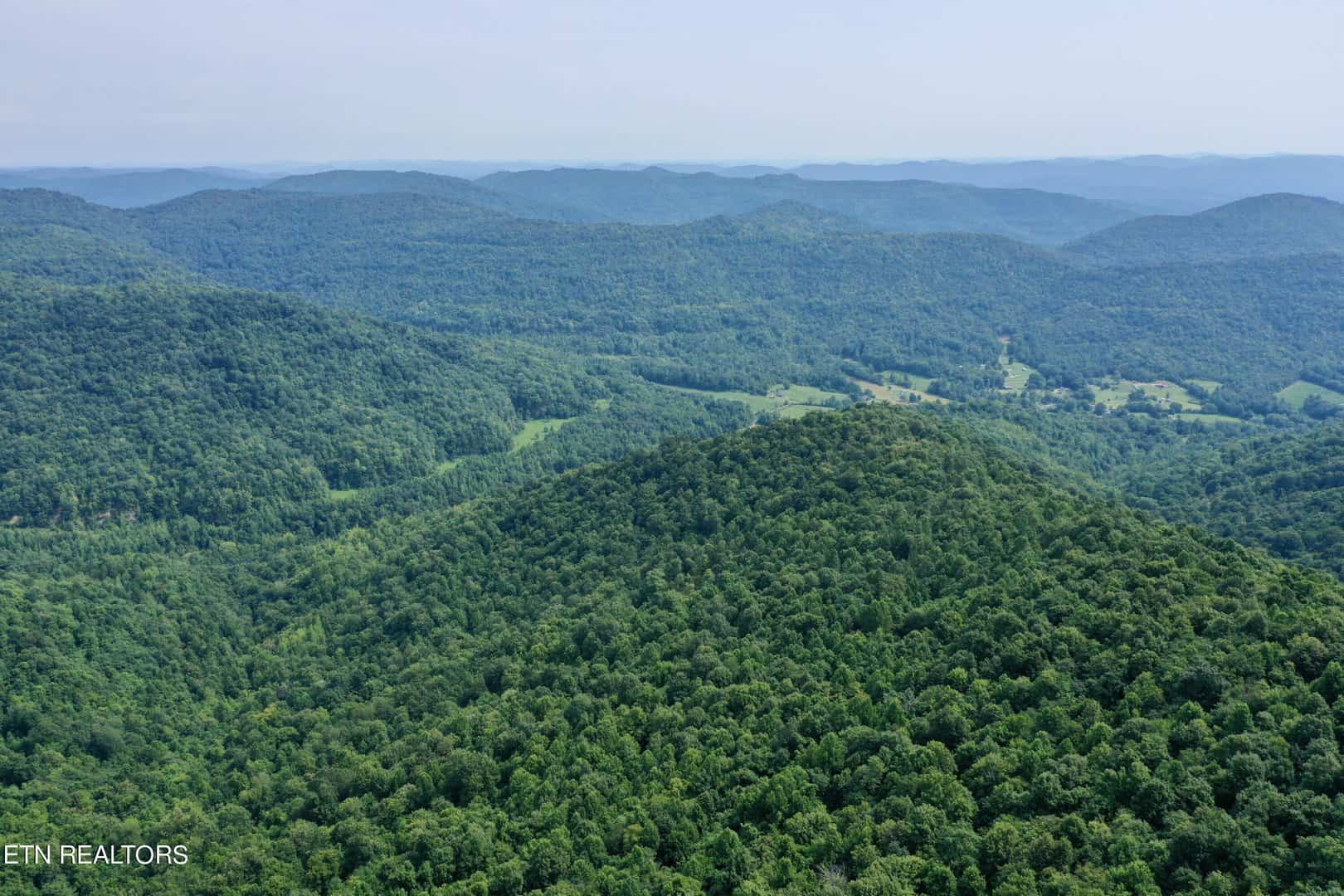 Jellico