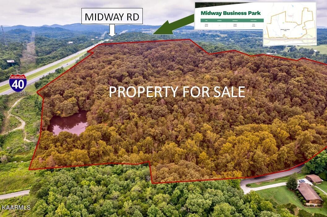 Strawberry Plains