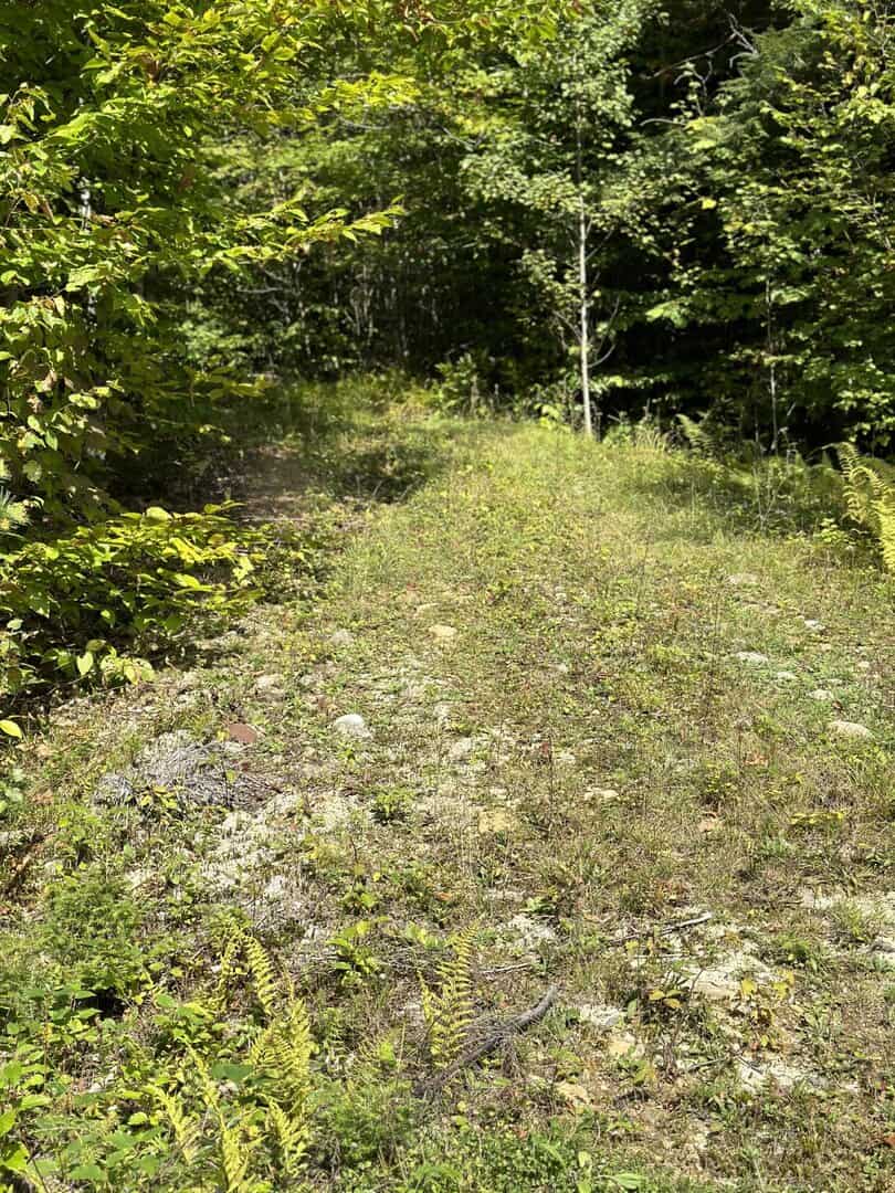 Listings for Nyki Greene