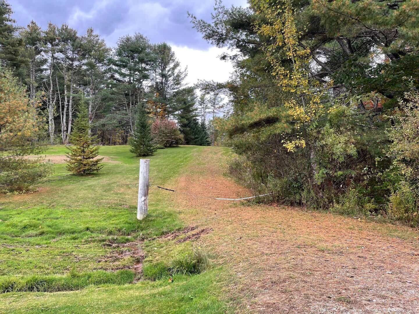 Listings for Patrick Powers