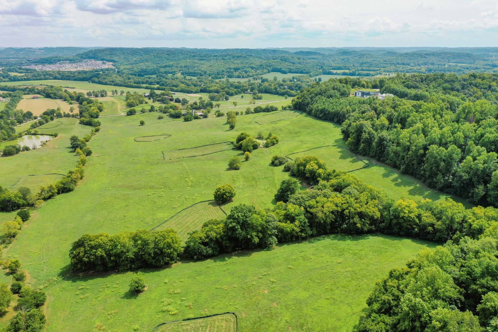 Nashville Homes for Sale Around Walnut Grove Middle School in Franklin TN