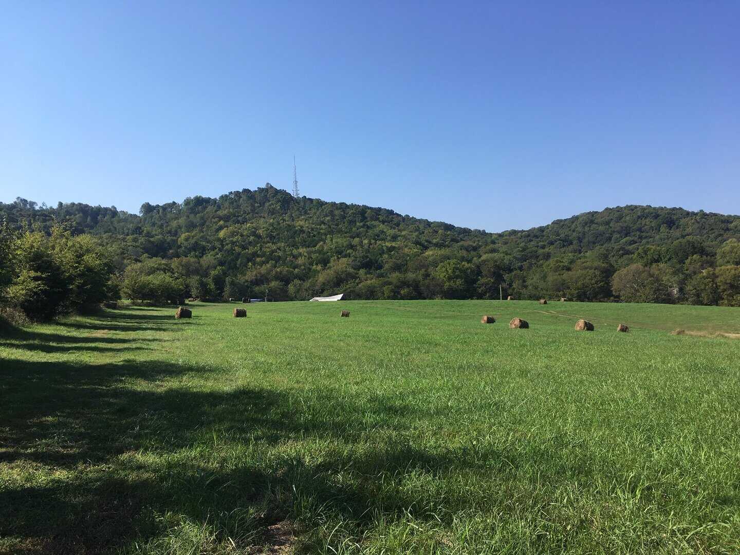 Land