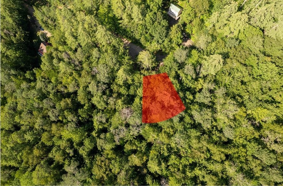 Listings for Jessica Peznola