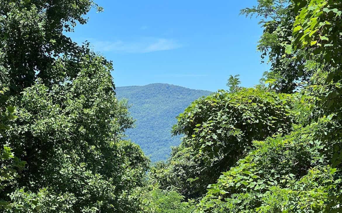 Hayesville NC