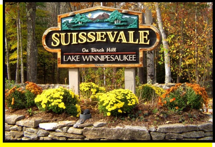 Suissevale Real Estate