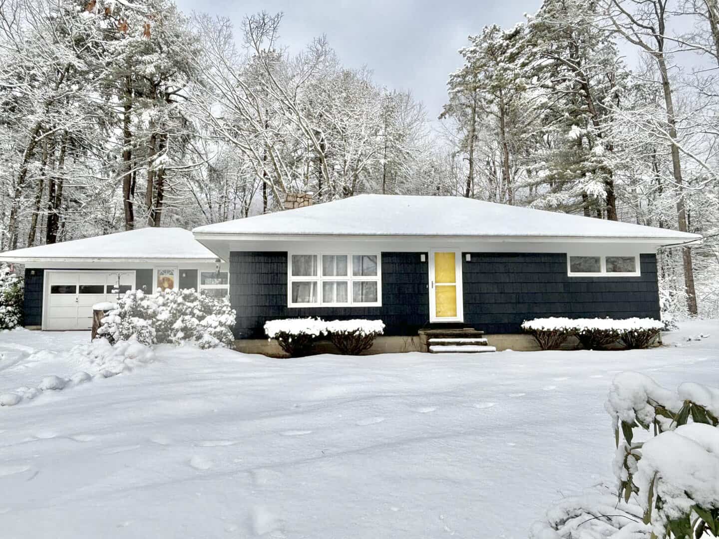 Listings for Tara Baker