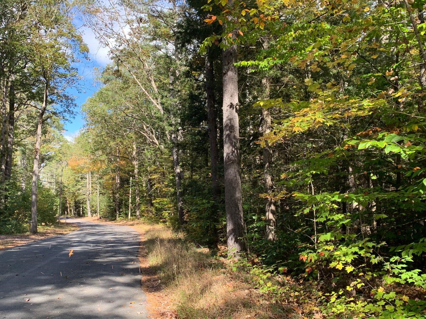 Winchester NH Real Estate & Homes for Sale