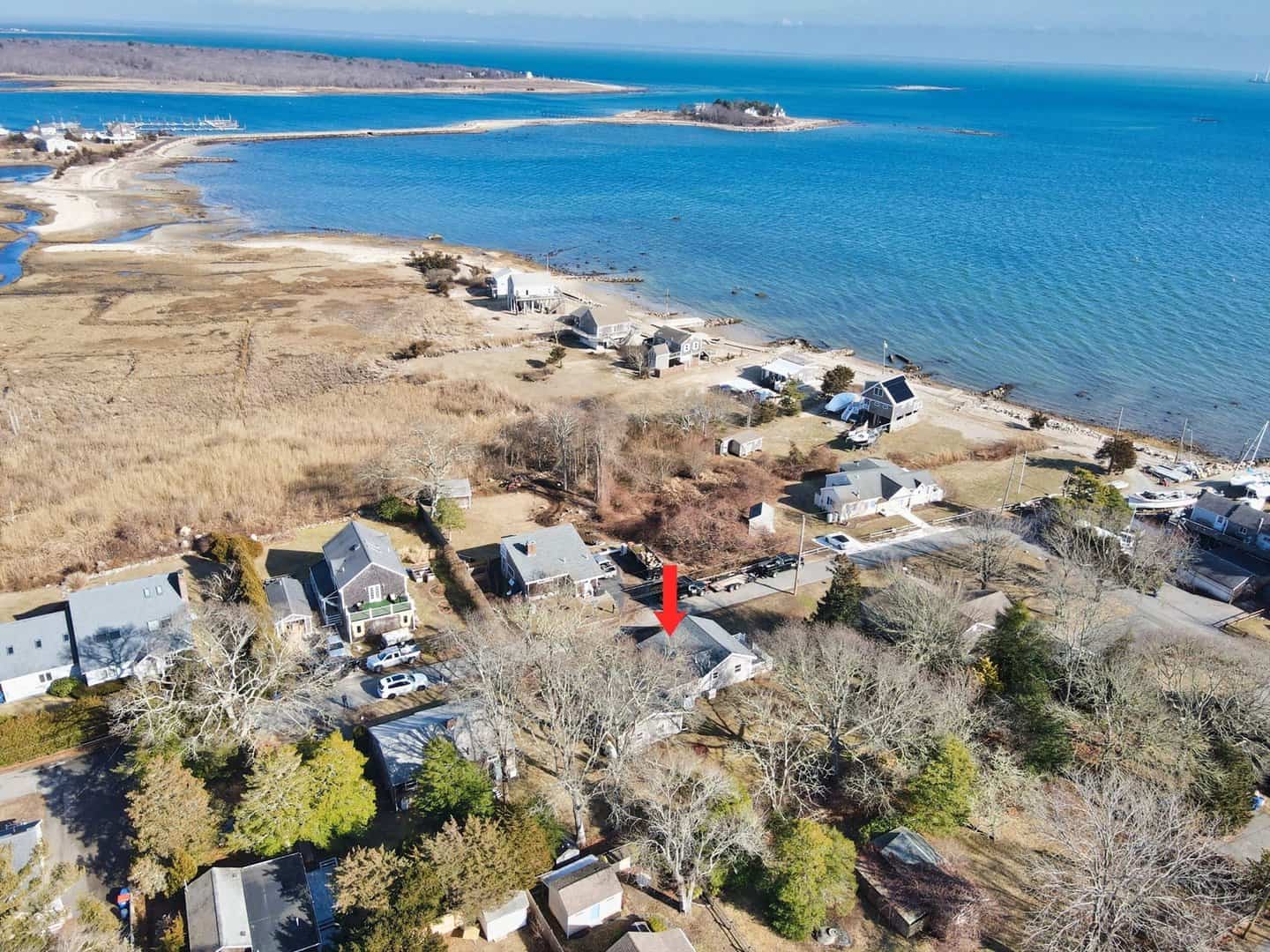 Listings for Liza Danforth