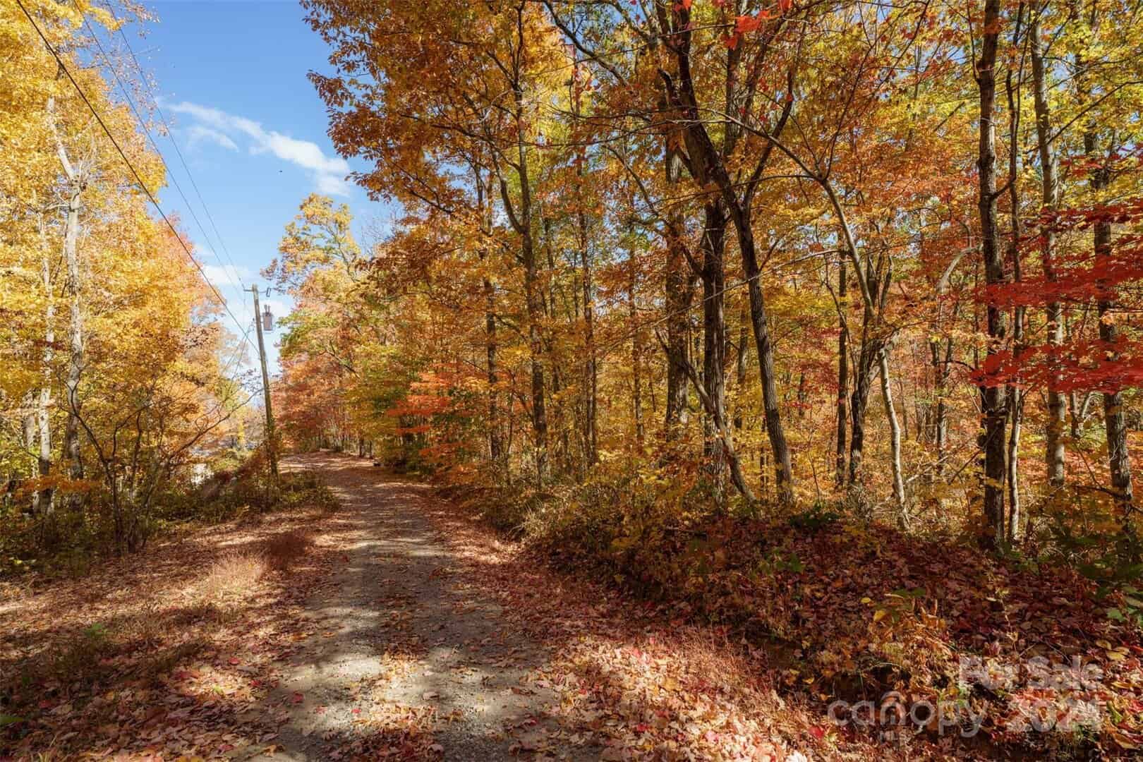 Listings for Seth Connelly