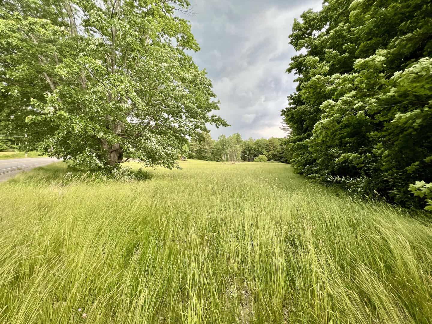 Land