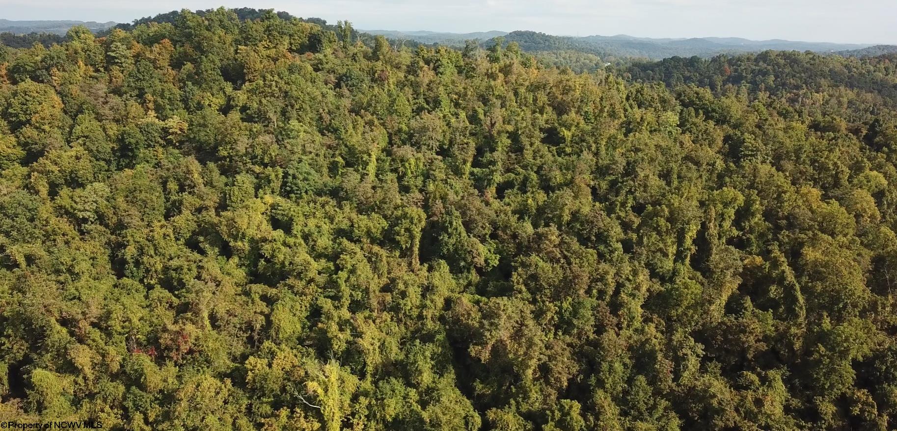 Residential Land