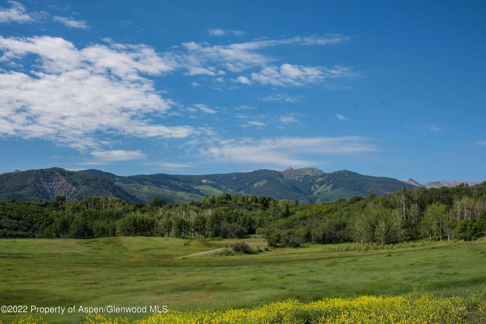 Snowmass