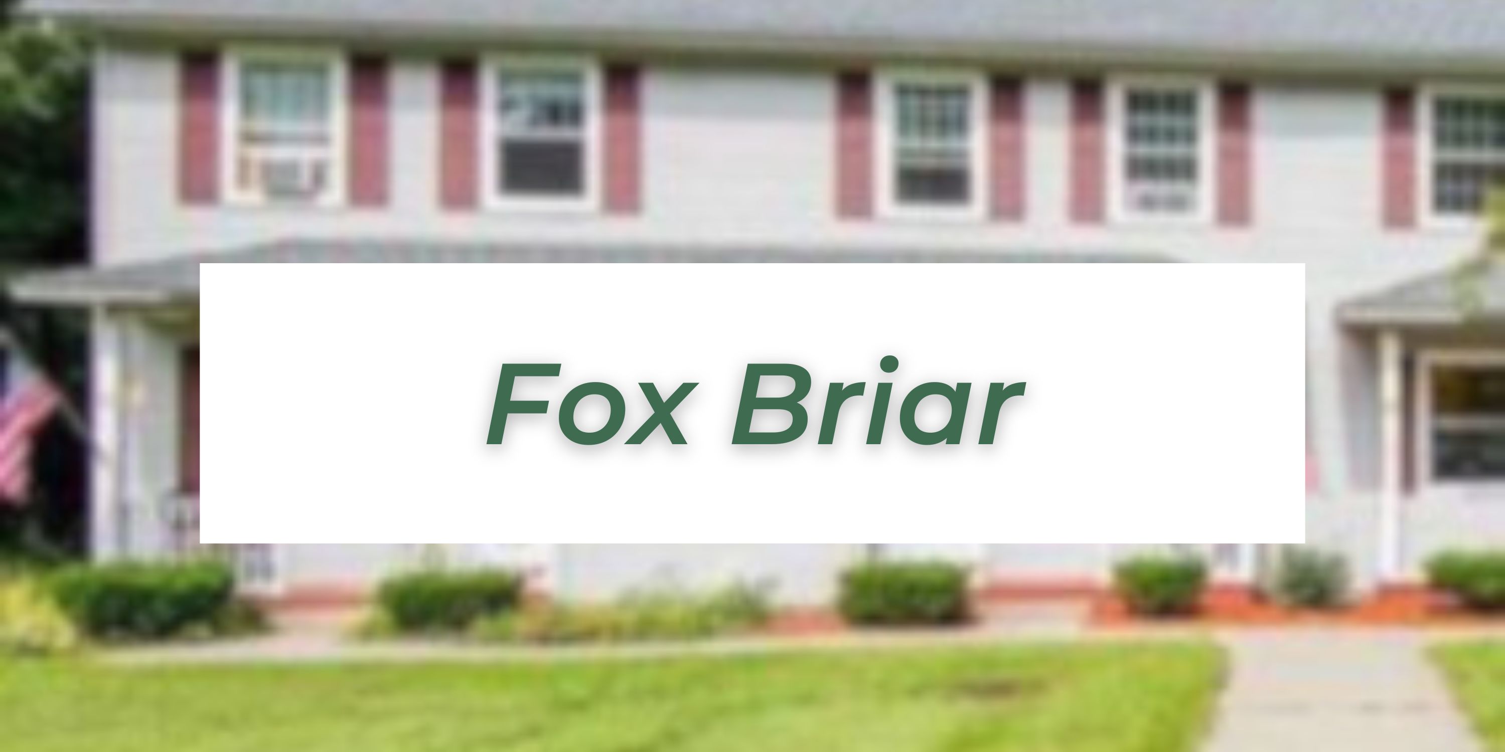 Fox Briar