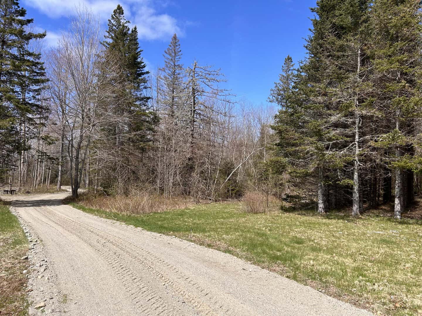 Listings for Amy Griffin