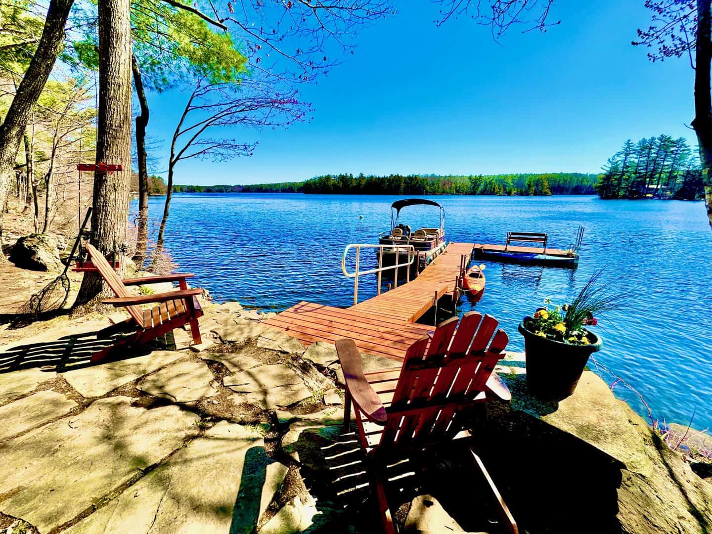 Listings for Trisha Cheney