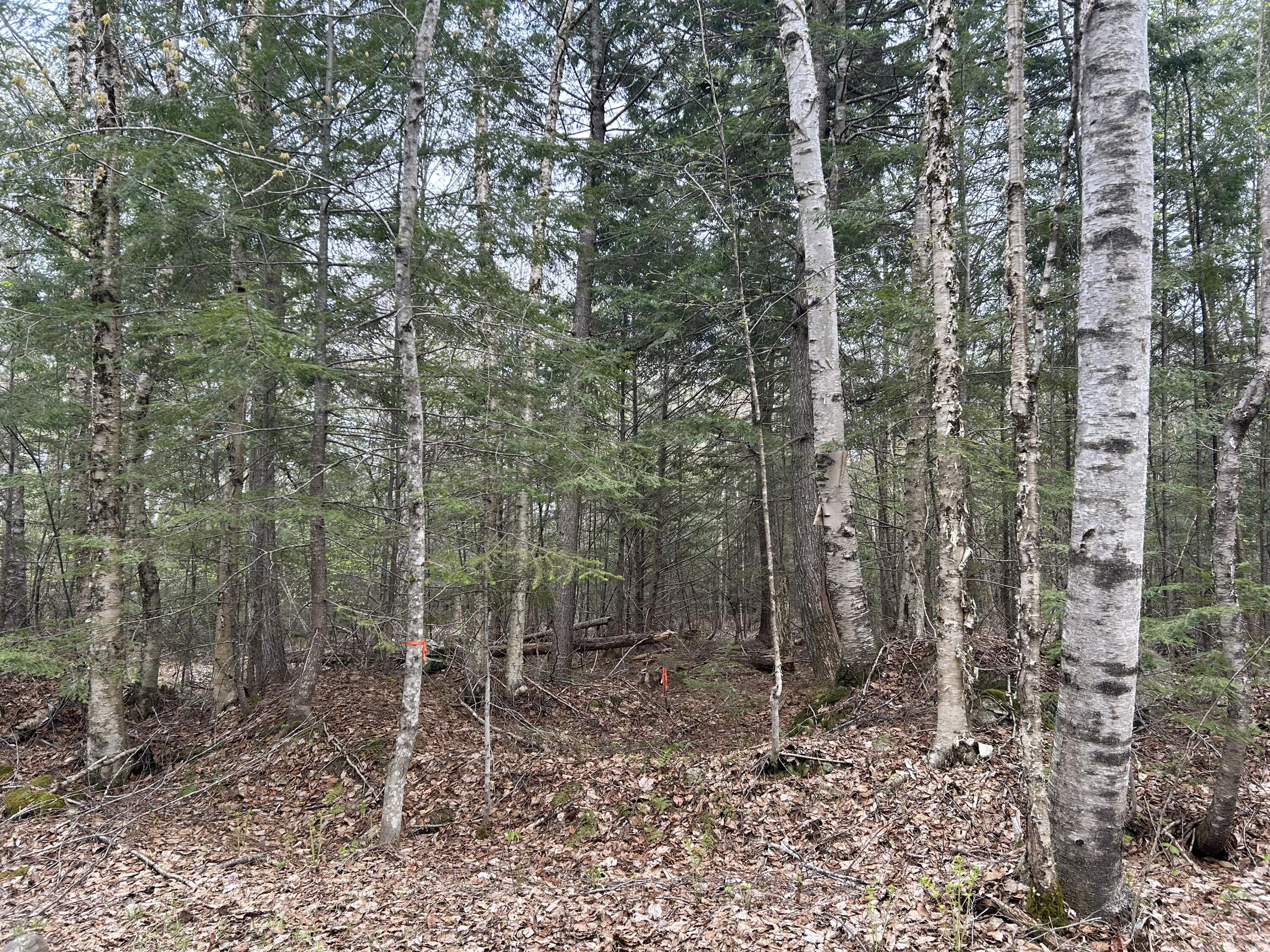 Listings for Kimberly Burleigh