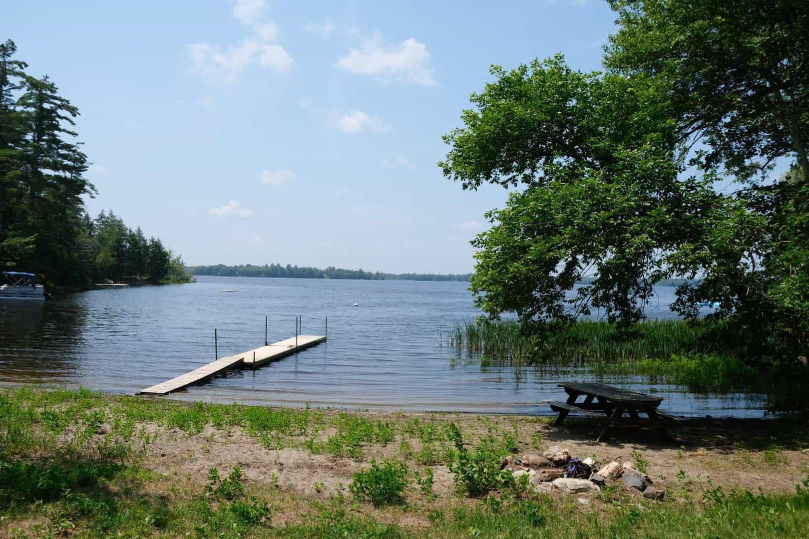 Listings for Teresa Dalpe