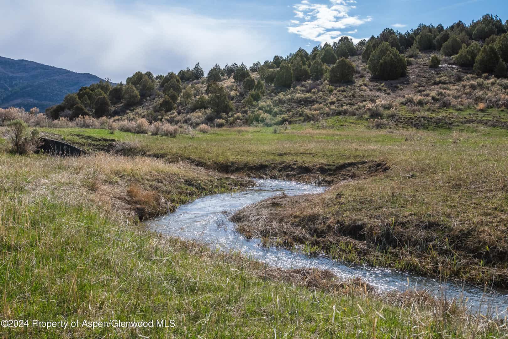 Rifle CO Homes For Sale