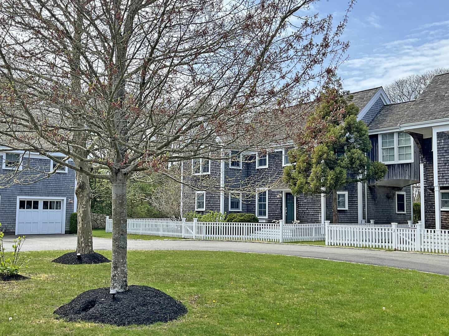 Listings for Dawn Bellante Holand