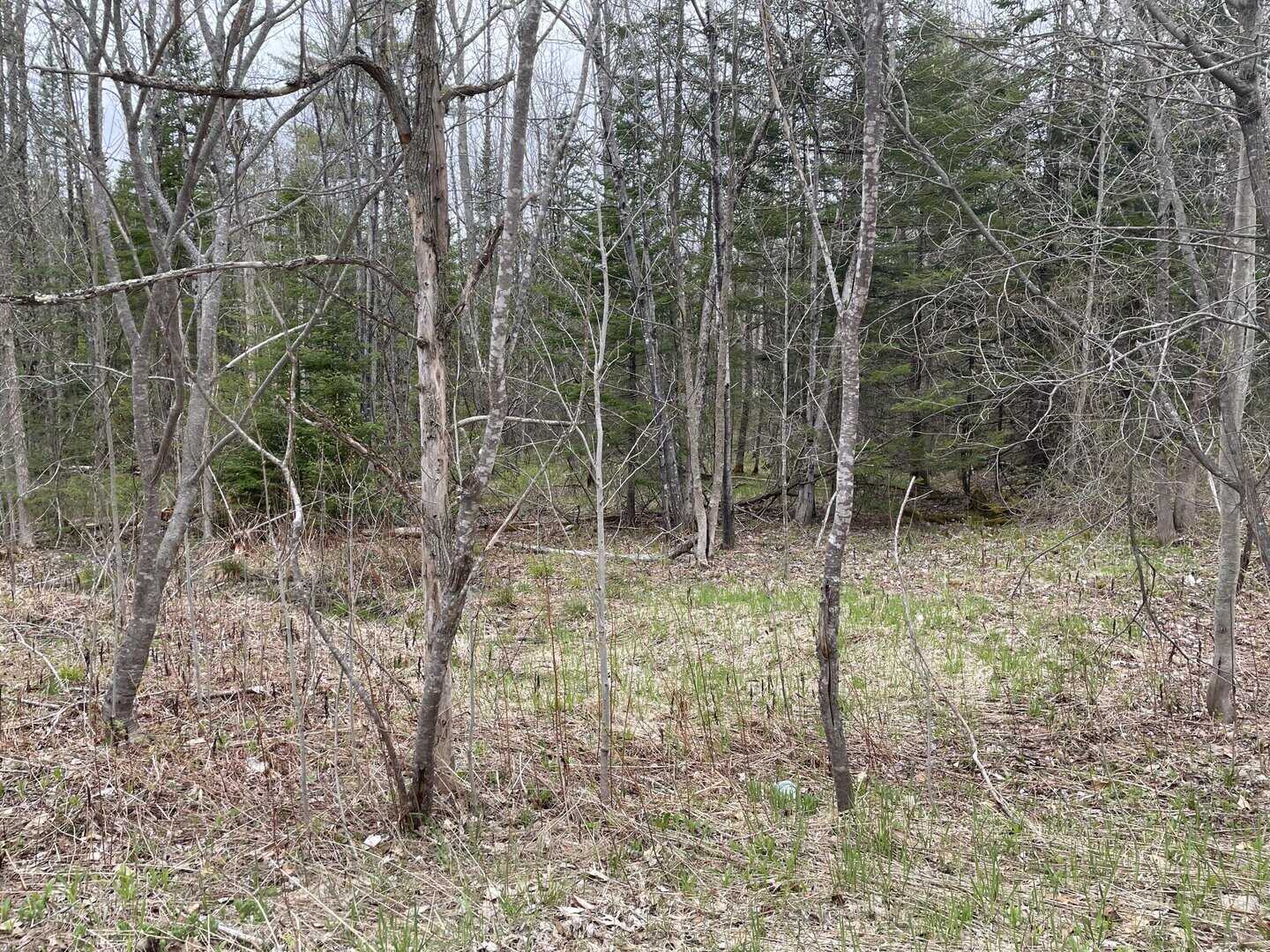 Listings for Tanya Lee LeBlond