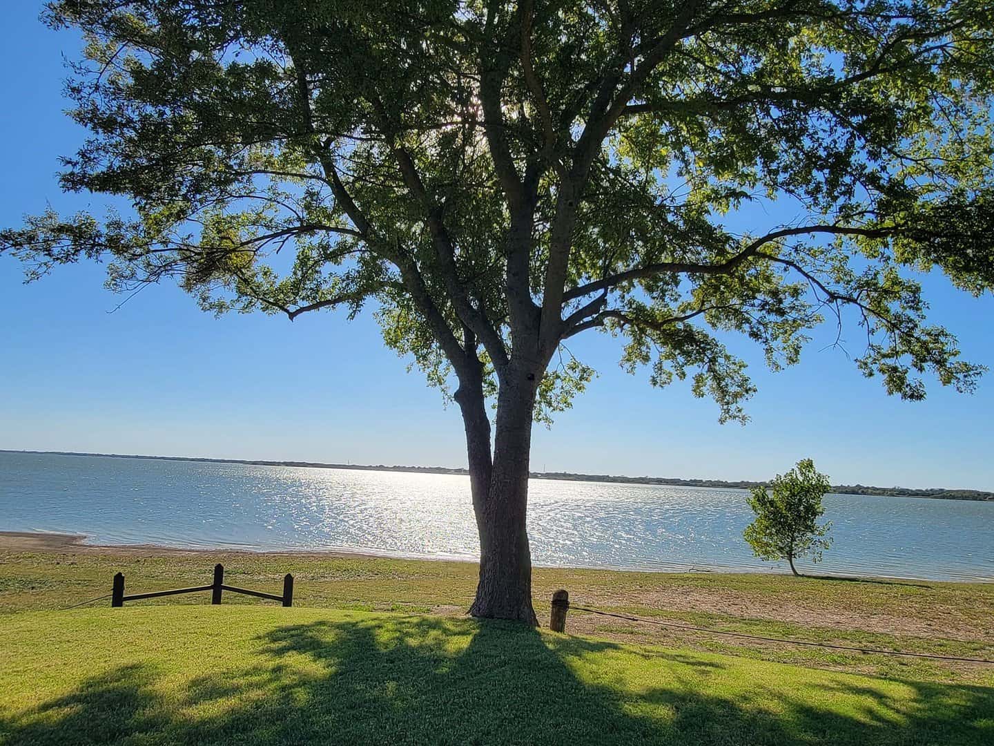 Listings for Wynetta Whitlock