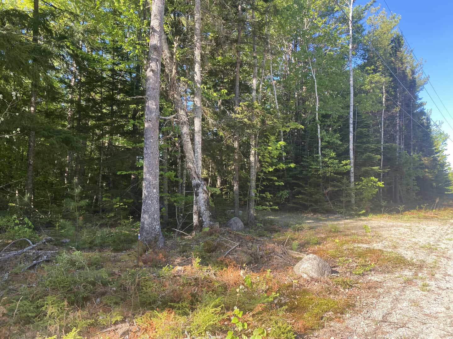 Listings for Kiandra Barnes