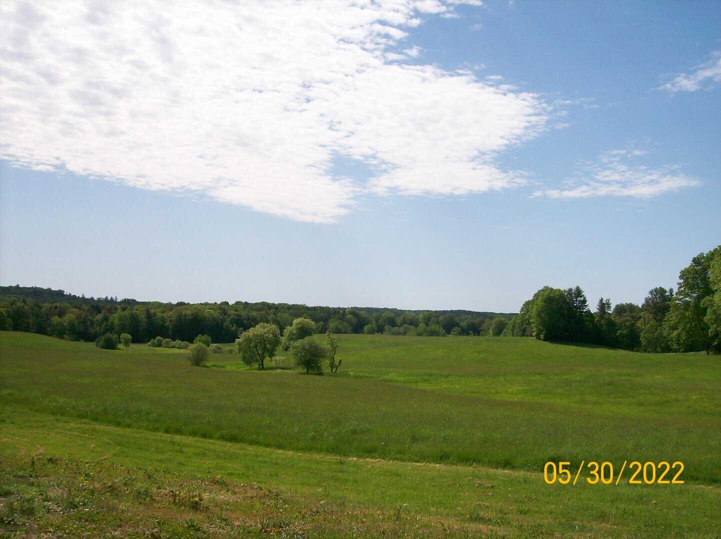 Gorham