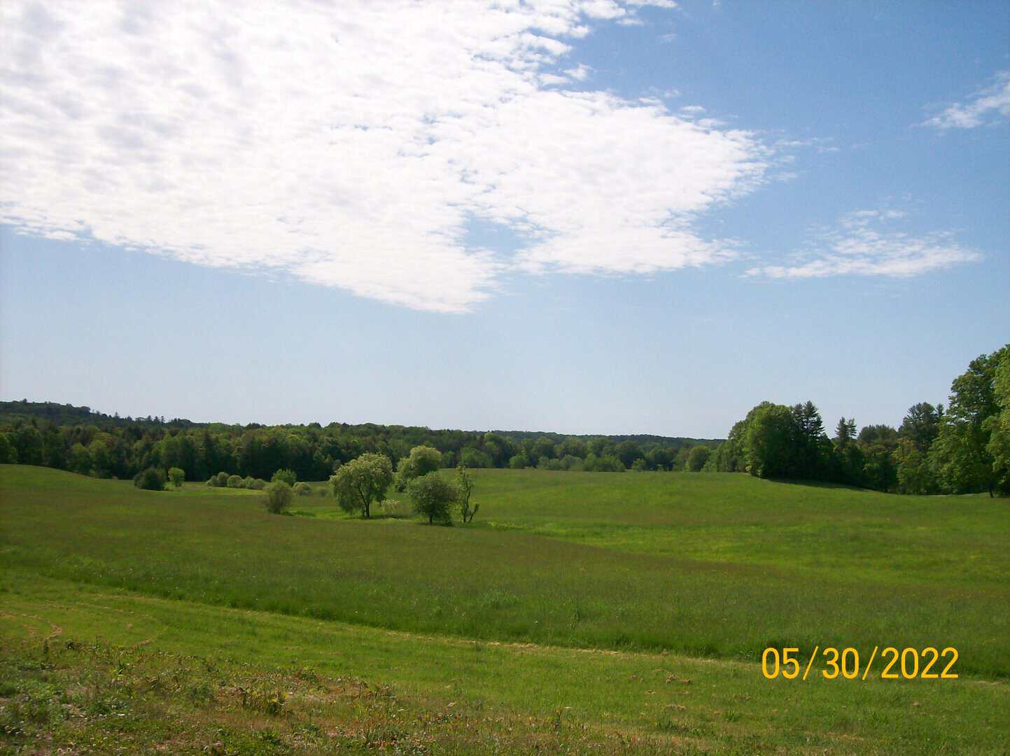 Gorham