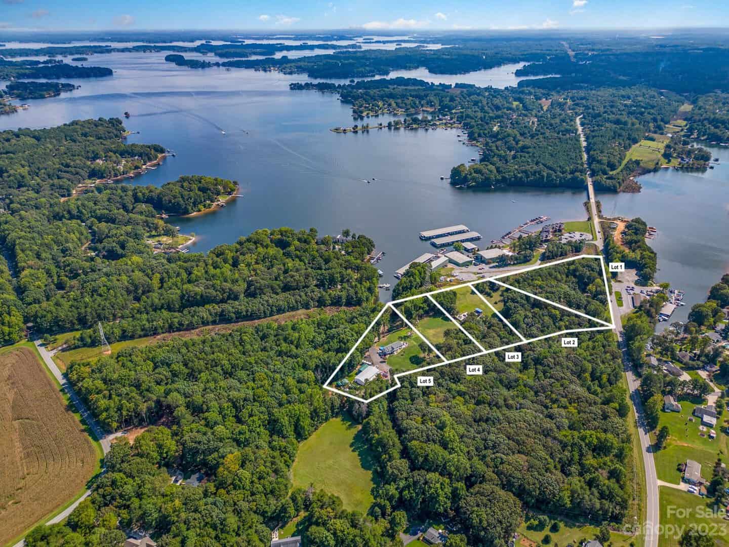 Homes with Lake Access