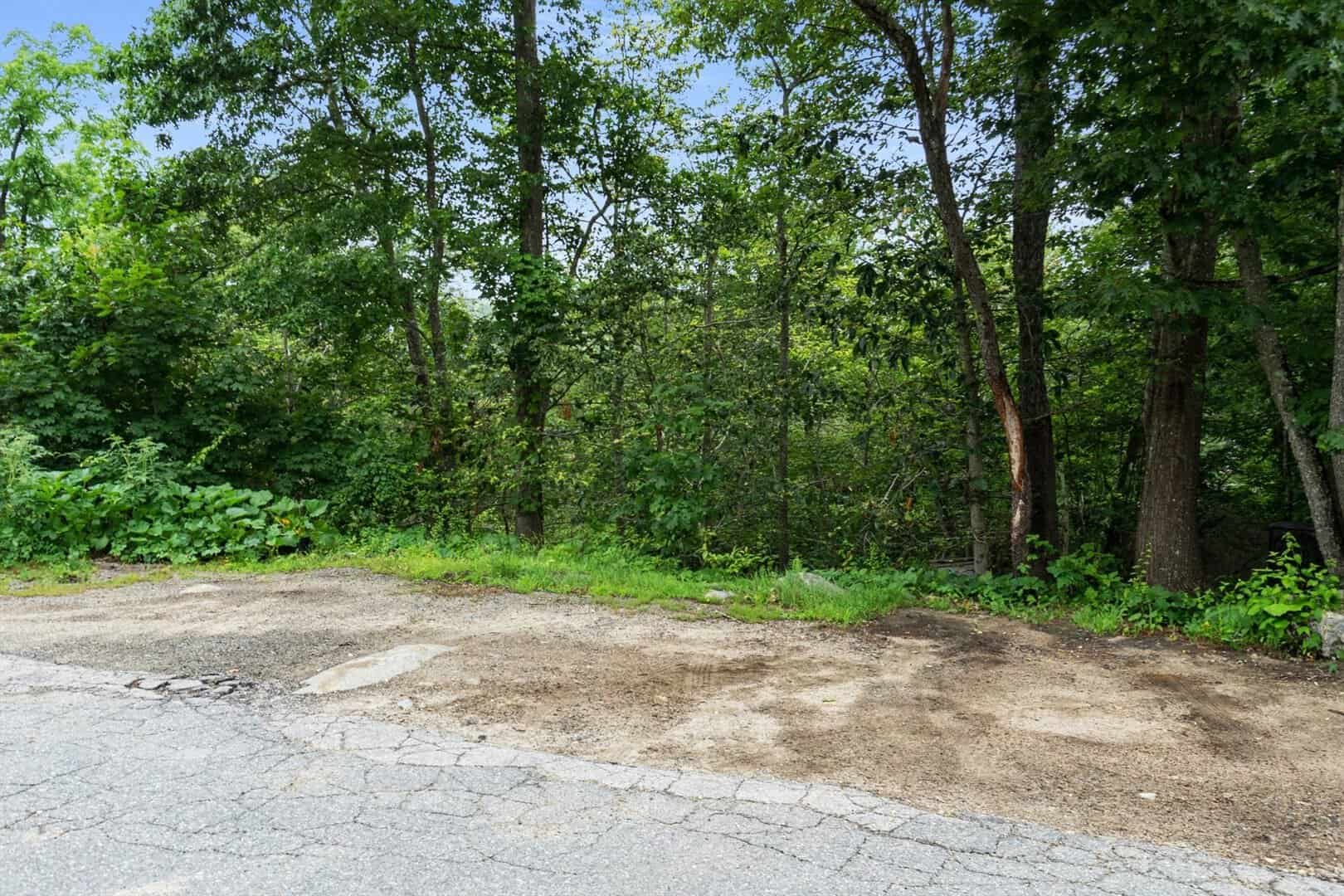 Listings for Erika Mattson