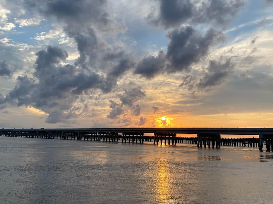 Amelia Island