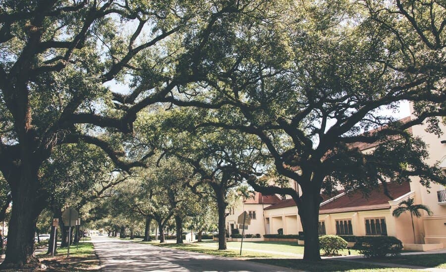Coral Gables