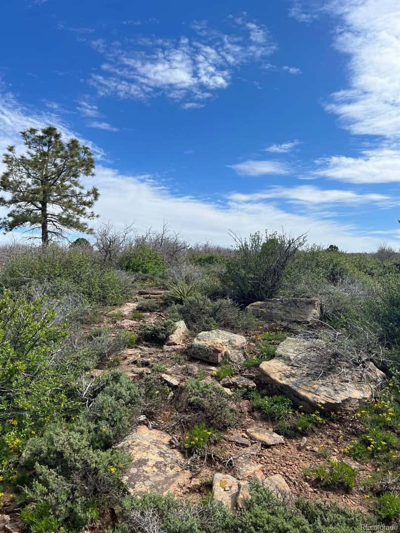 Dove Creek