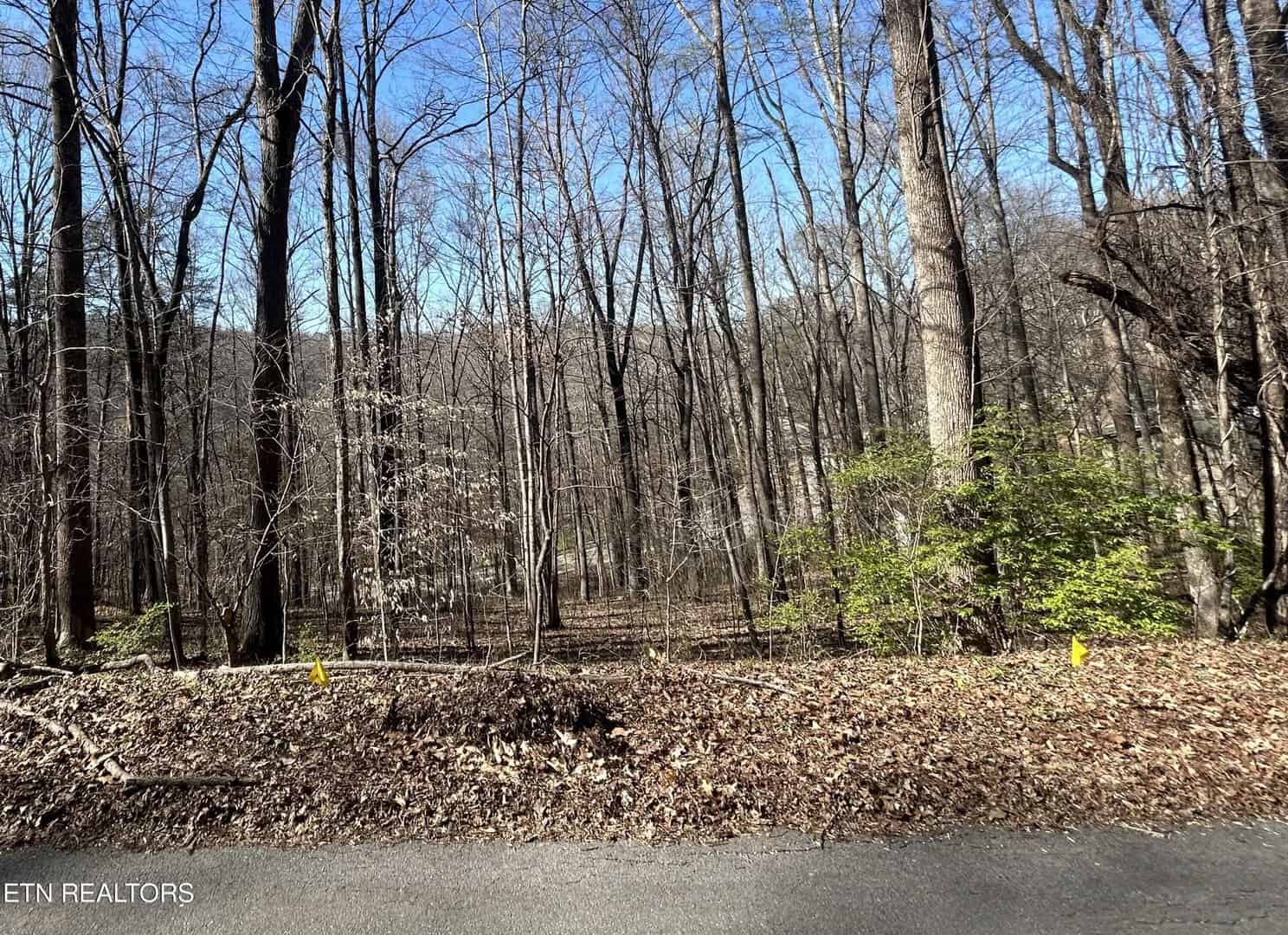 Cumberland View Estates