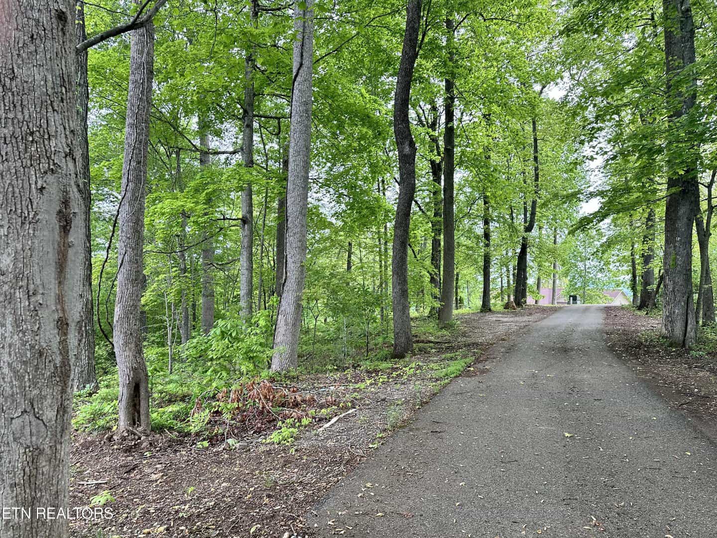 Norris Crest