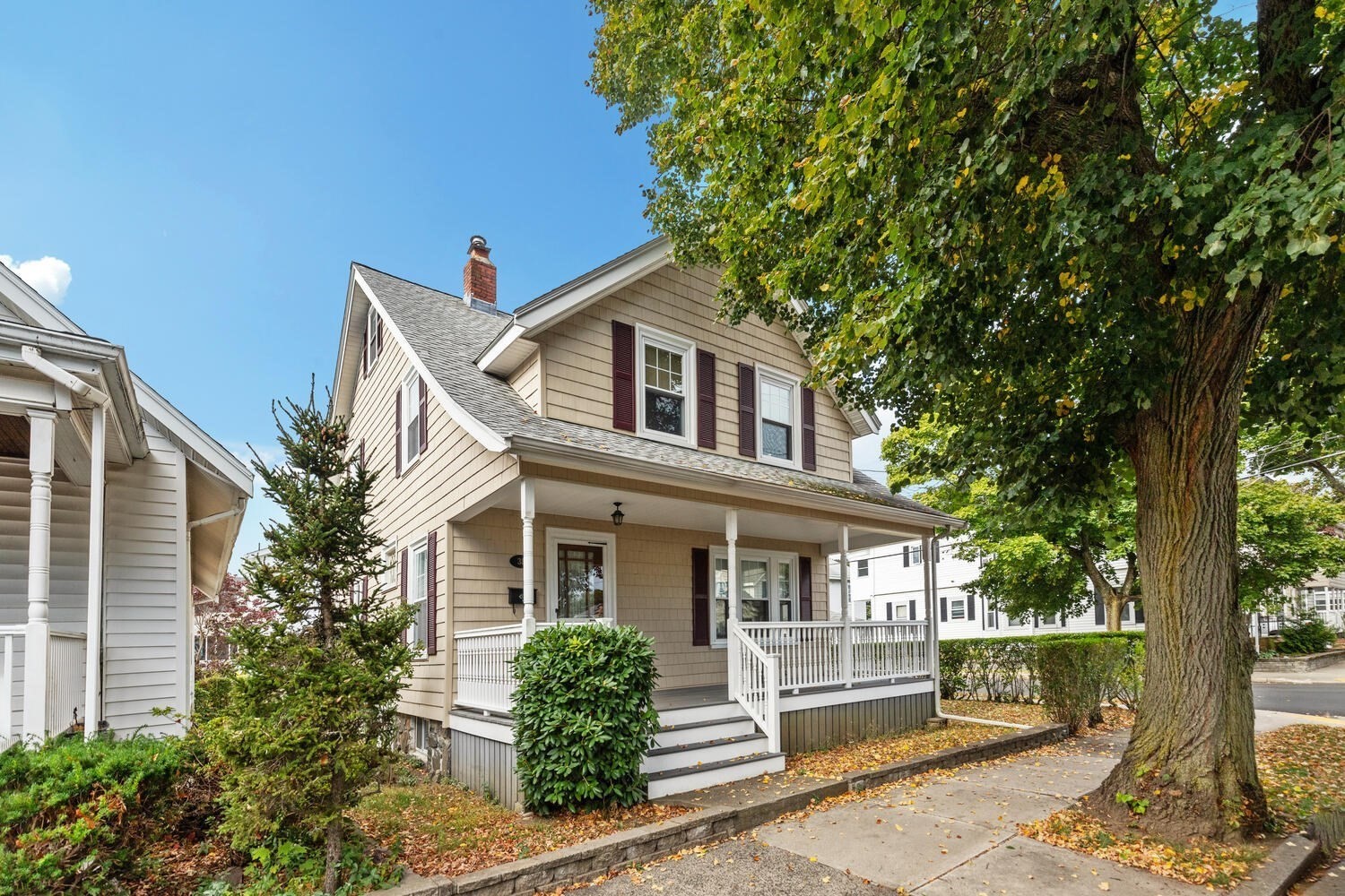 Listings for Patricia Torto