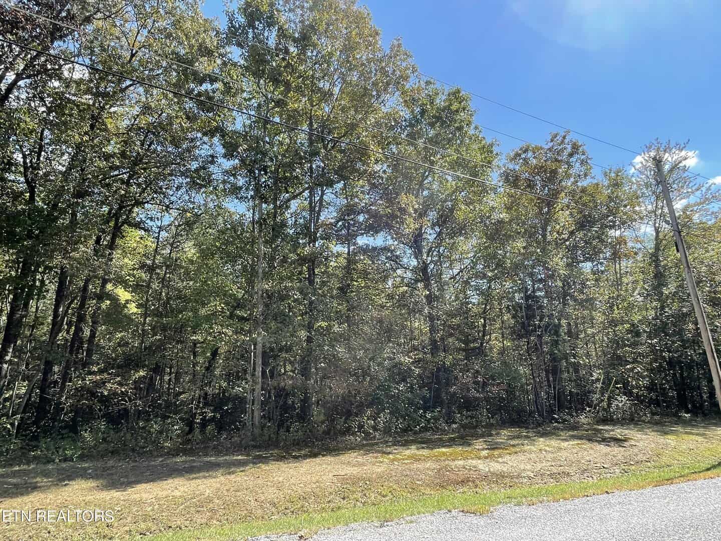 Listings for Brock Harris